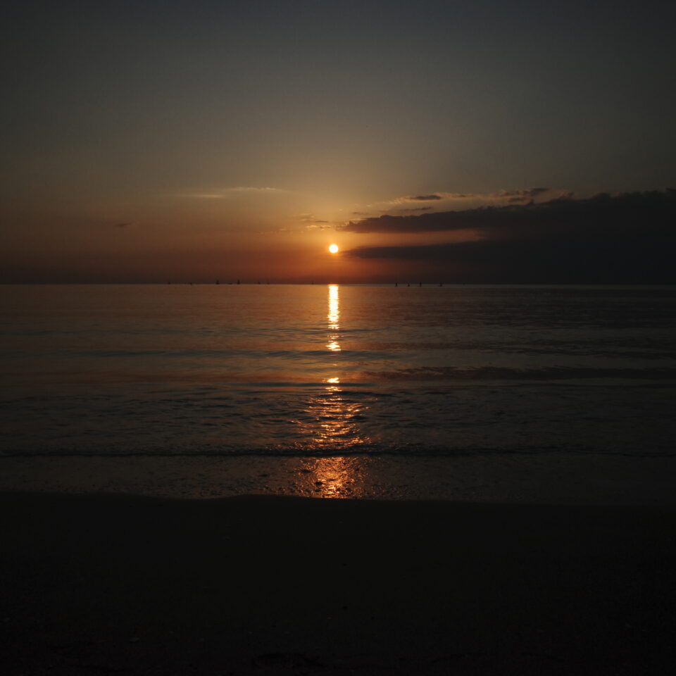 酒論 松むろについて｜現在の営業とご案内